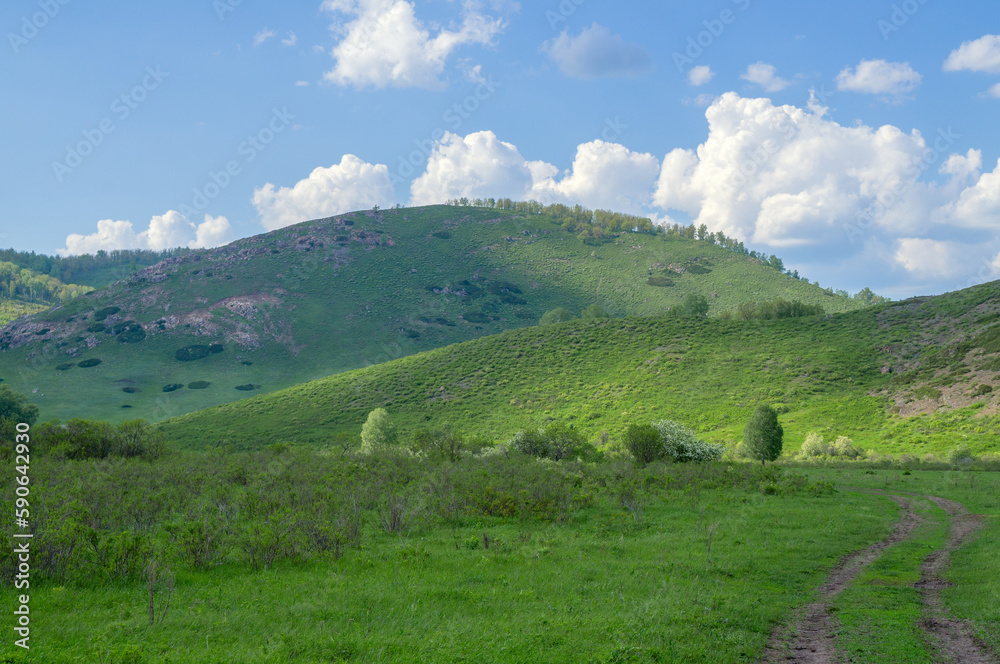 Beautiful hills covered with fresh greenery with cloud shadows.