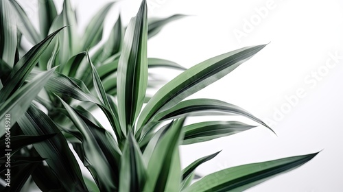 Green Grass Borders With Isolated White Background With Gradient Mesh  Vector Illustration  Generative AI  