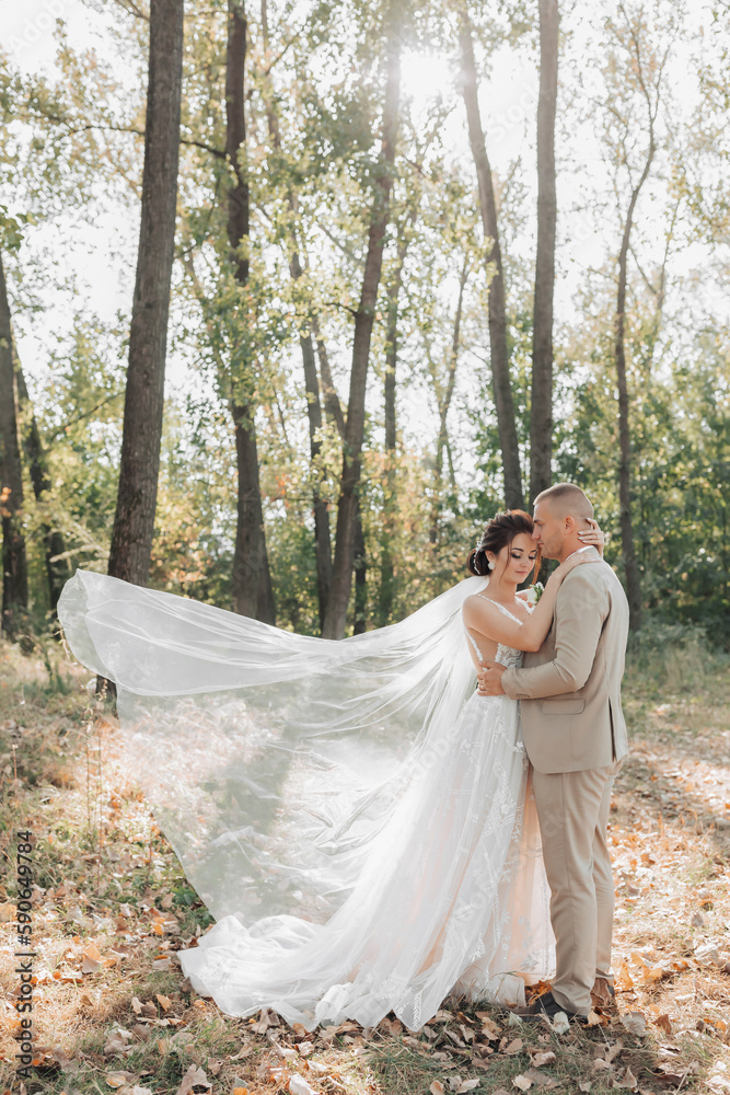 Wedding photo. The bride and groom are standing in the forest hugging, the groom tenderly kisses his beloved on the forehead. A veil that falls beautifully in the air. Couple in love. Summer light. Wedding photo. The bride and groom are standing in the forest hugging, the groom tenderly kisses his beloved on the forehead. A veil that falls beautifully in the air. Couple in love. Summer light.