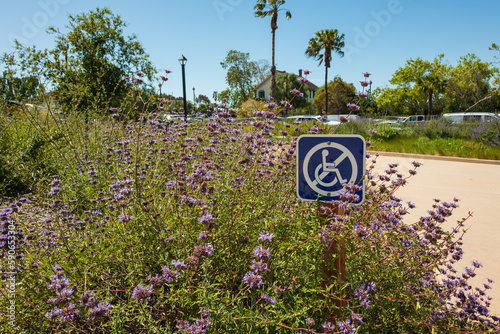 no wheelchair sign in the park