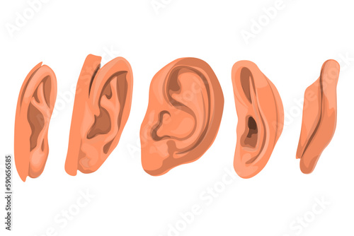 set of ears front, back and side view fairy skin tones isolated on white background.