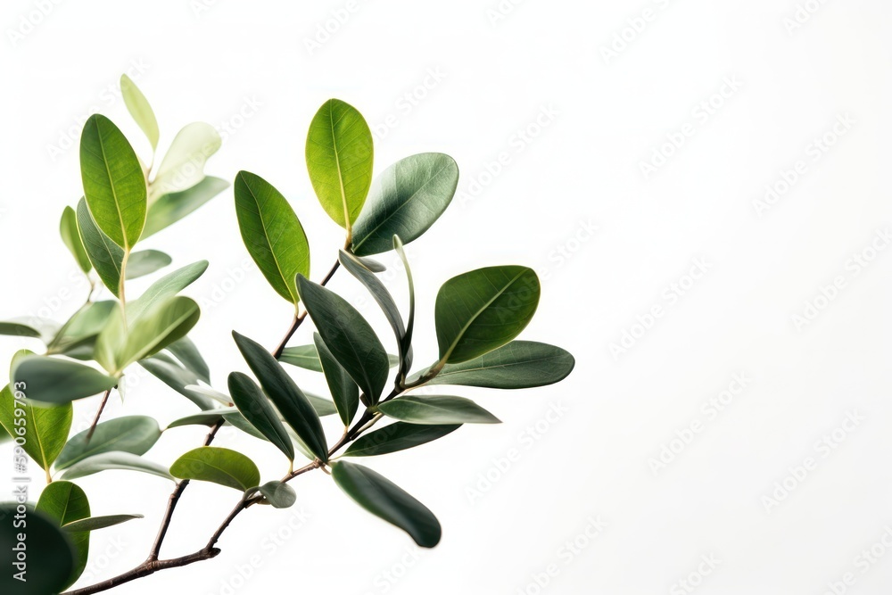 Vibrant Green Plant with Lush Leaves Isolated on a Clean White Background - Generative Ai