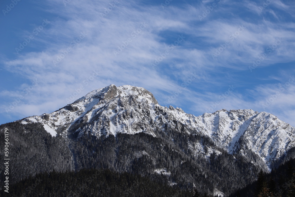 Fototapeta premium Landscape, city skyline, skyline, sunset, sky, nature, view, forest, winter, sunset, sunrise, city, romantic scenarios