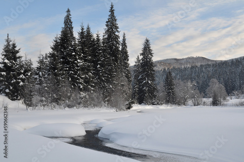 Winter landscape in the forest near Comandau village. Covasna, Romania photo