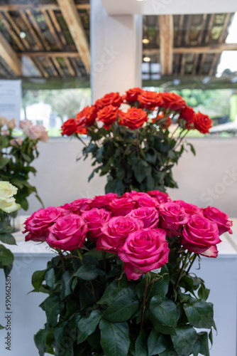 Wallpaper Mural Roses for export, best roses in Ecuador, a bouquet of roses Torontodigital.ca