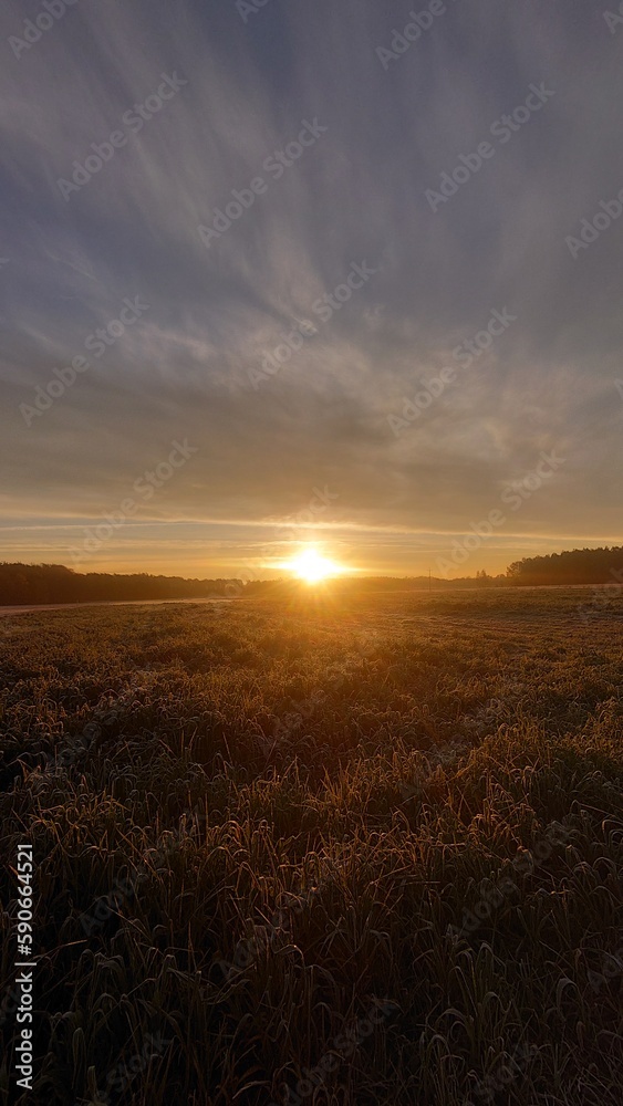 Landscape, city skyline, skyline, sunset, sky, nature, view, forest, winter, sunset, sunrise, city, romantic scenarios Landscape, city skyline, skyline, sunset, sky, nature, view, forest, winter, sunset, sunrise, city, romantic scenarios