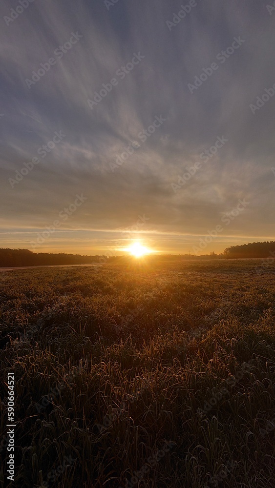 Landscape, city skyline, skyline, sunset, sky, nature, view, forest, winter, sunset, sunrise, city, romantic scenarios