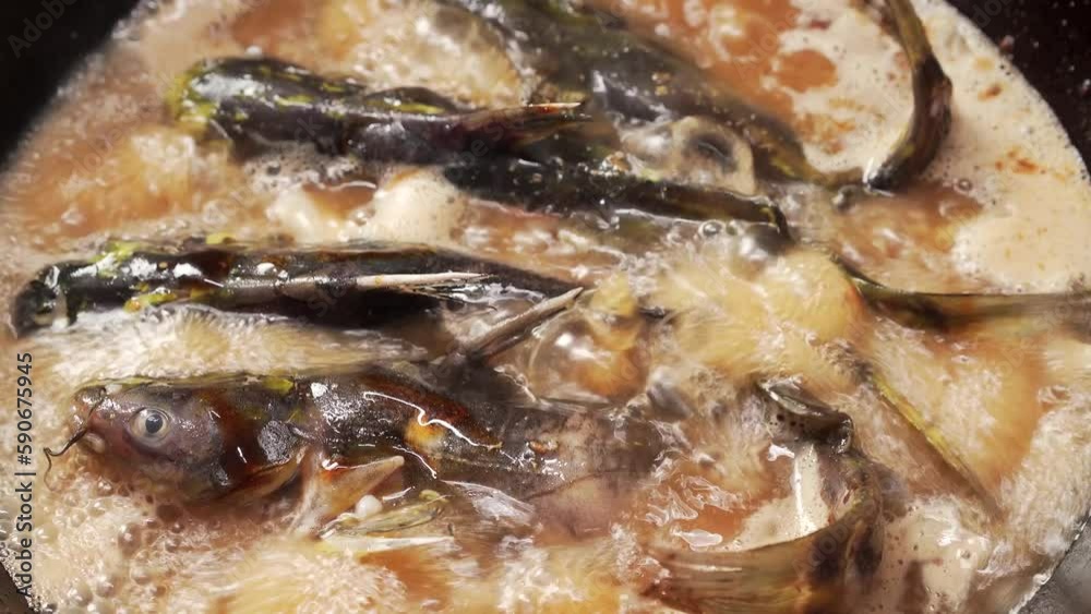 Northeast China local characteristic home cooking sauce grilled Gaya fish Northeast China local characteristic home cooking sauce grilled Gaya fish