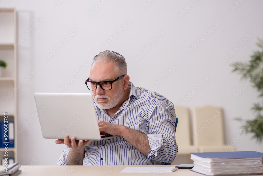 Old male employee working at workplace