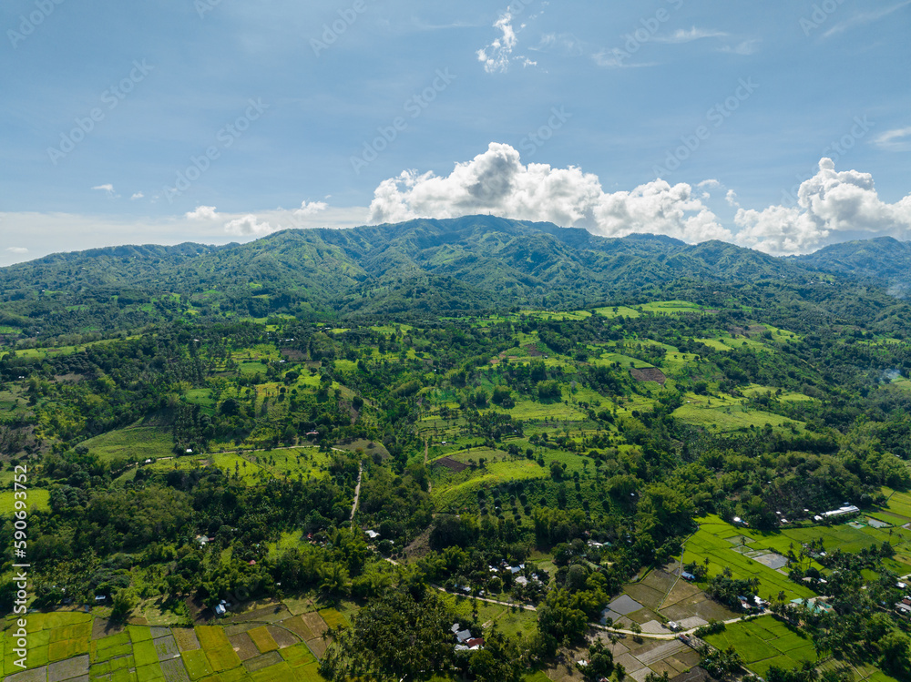 Farmland, and rice fields and mountains with green forest. Negros, Philippines