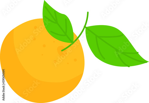 Orange Illustration