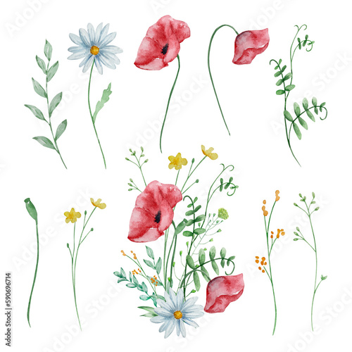 Watercolor bouquet of wildflowers, illustration for cards