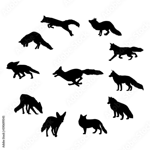 silhouettes of foxes