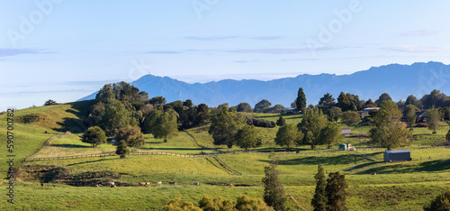 Picturesque rural landscape with Kaimai Range in the morning sun photo
