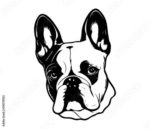 French Bulldog  Silhouettes Dog Face SVG  black and white French Bulldog vector