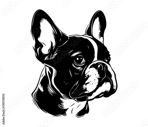 French Bulldog, Silhouettes Dog Face SVG, black and white French Bulldog vector © Ann