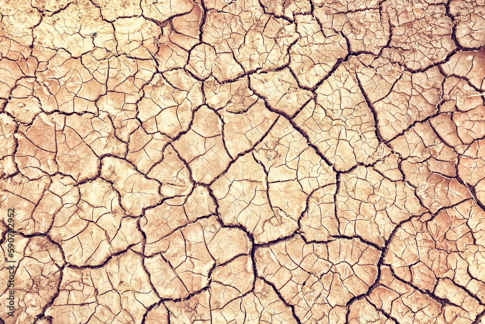 cracks on the ground desert texture background earth climate ecology cracks on the ground desert texture background earth climate ecology
