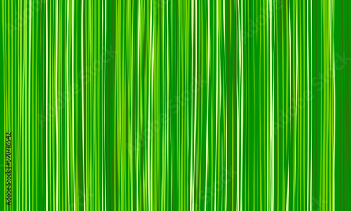 Grass background. Nature green texture from long vertical blades of grass  natural abstract striped wallpaper of stripes of green shades. Eco concept. Design of Earth Day banners and flyers