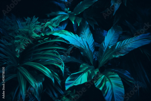 Tropical leaf forest glow in the dark background with copy space. High contrast concept