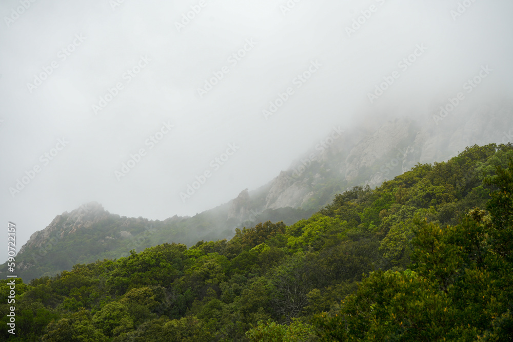 Nebelverhangene Berge im Hochgebirge von Sardinien