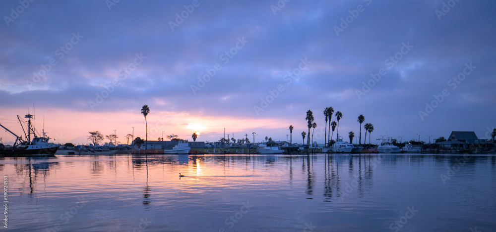 Duck swimming during early dawn sunrise pink sky over Channel Islands harbor in Port Hueneme on the gold coast of California United States