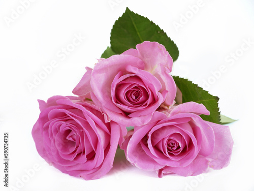 Pink rose flower bouquet isolated on white background