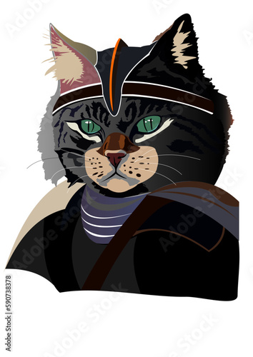 warrior cat