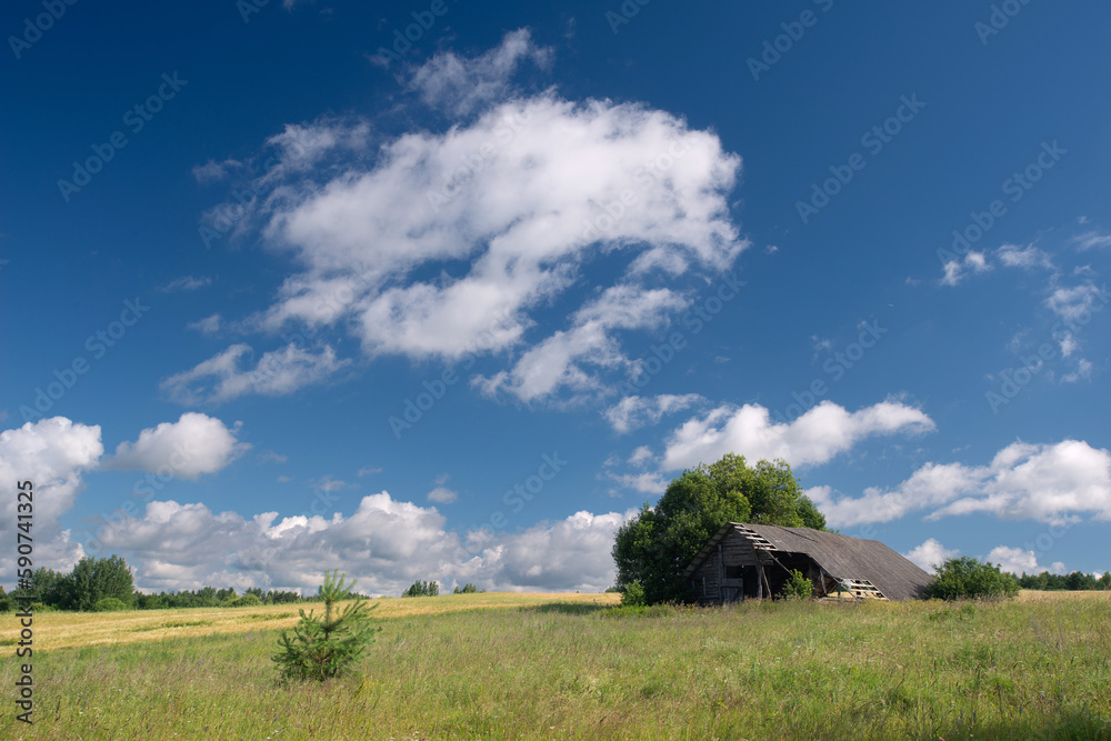Village landscape on a summer sunny day
