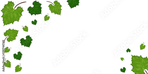 Grapes vine background with its branches and leaves. Free copy space for text.