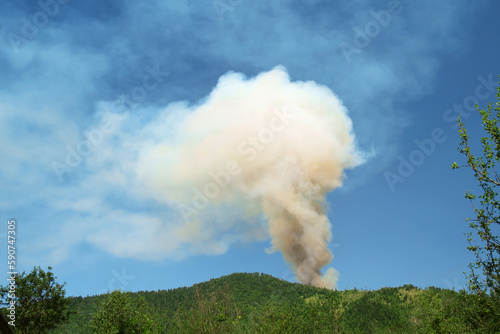 Forest fire with a large cloud of smoke rising through the sky