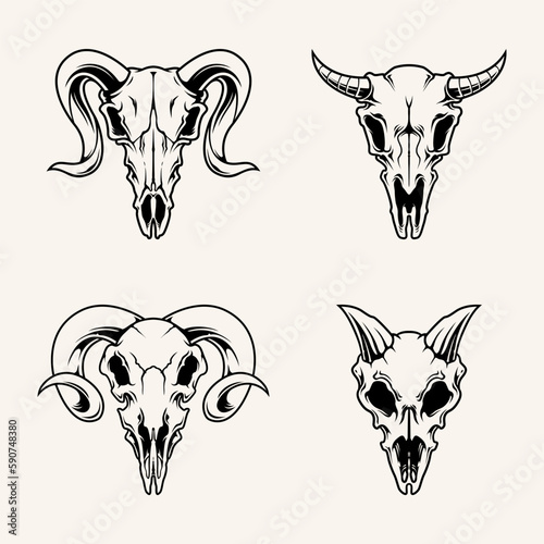 Illustration vector graphic of wild animal skull suitable for t-shirt design