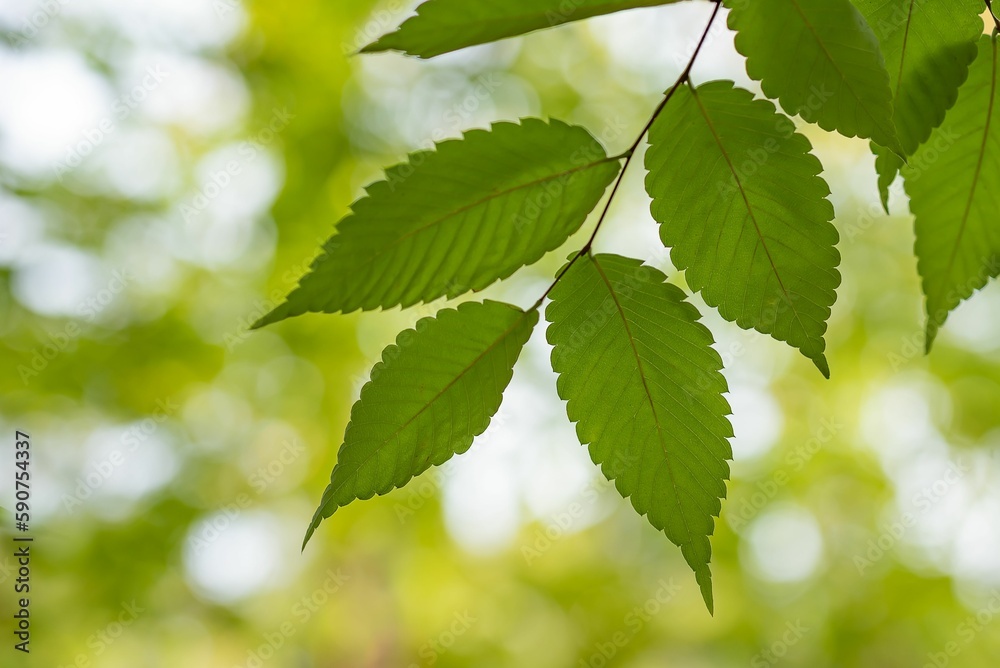 Closeup of beautiful green leaves on a branch Closeup of beautiful green leaves on a branch