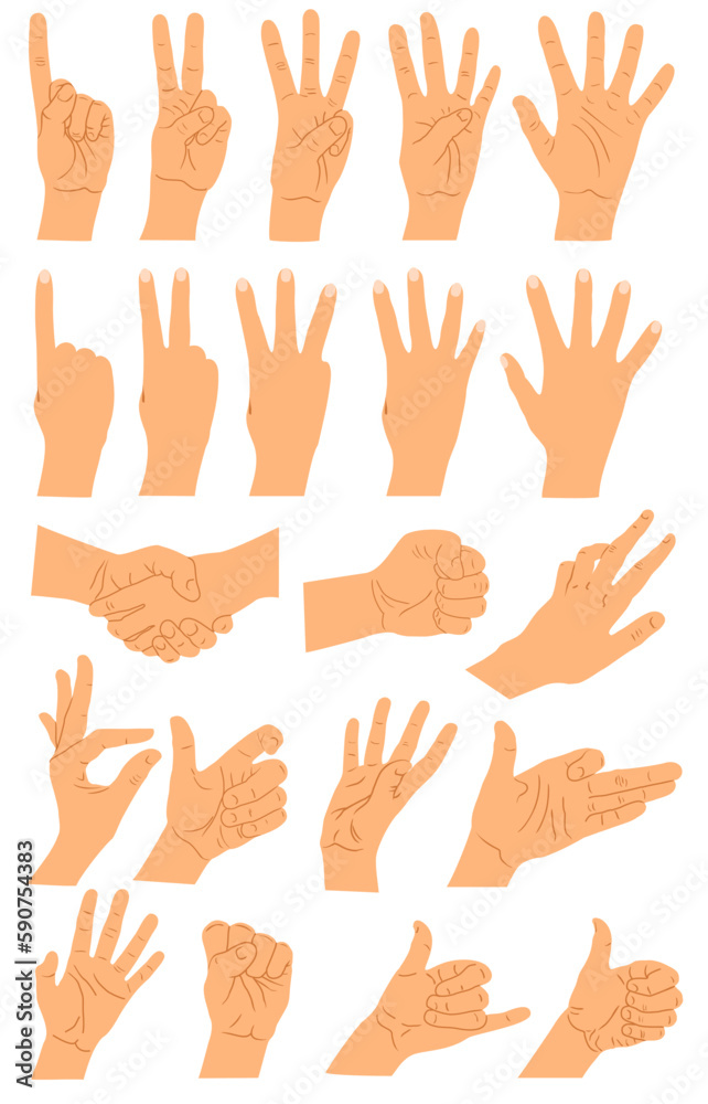 Hands and arms expressions. Hands poses big set, ok, help handshake and press touch, praying and meditation, numbers symbols. Cartoon human palms and wrist vector set. Communication concept Hands and arms expressions. Hands poses big set, ok, help handshake and press touch, praying and meditation, numbers symbols. Cartoon human palms and wrist vector set. Communication concept