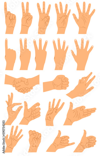 Hands and arms expressions. Hands poses big set  ok  help handshake and press touch  praying and meditation  numbers symbols. Cartoon human palms and wrist vector set. Communication concept