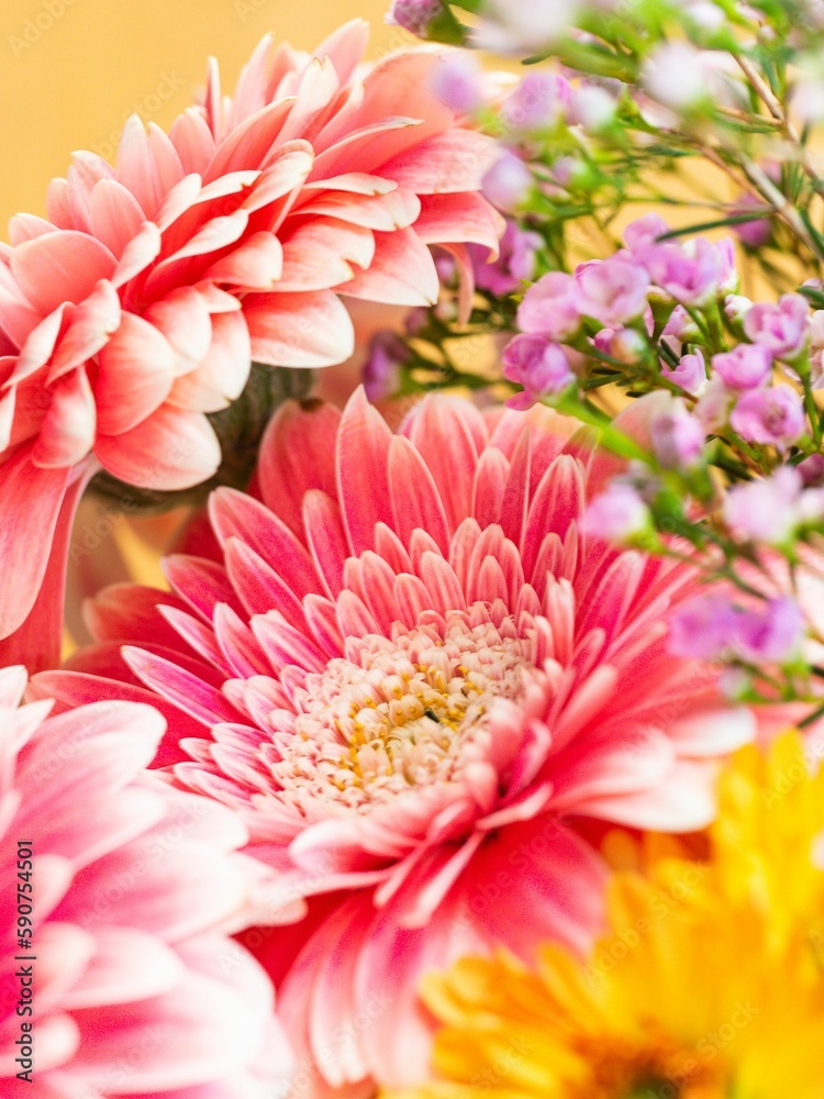 Closeup shot of a flower bouquet with vibrant colours Closeup shot of a flower bouquet with vibrant colours