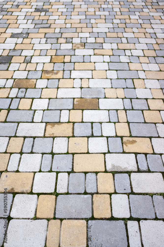 Sidewalk paving stones on the background of the sidewalk.