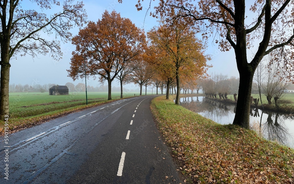 Scenic colorful view of a road surrounded with trees on a rainy autumn day