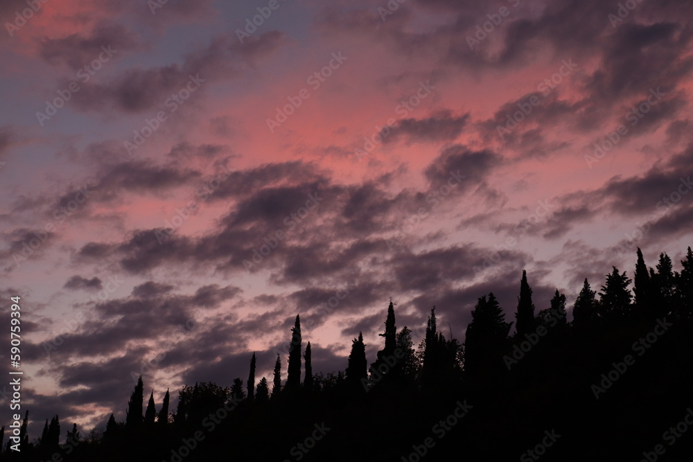 panorama con cipressi e cielo nuvoloso rosso