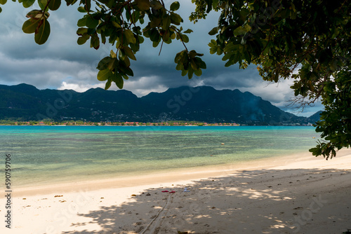 Fototapeta Naklejka Na Ścianę i Meble -  Seychelles Cerf Island beaches are home to a diverse range of marine life, including colorful tropical fish, sea turtles, and even sharks.