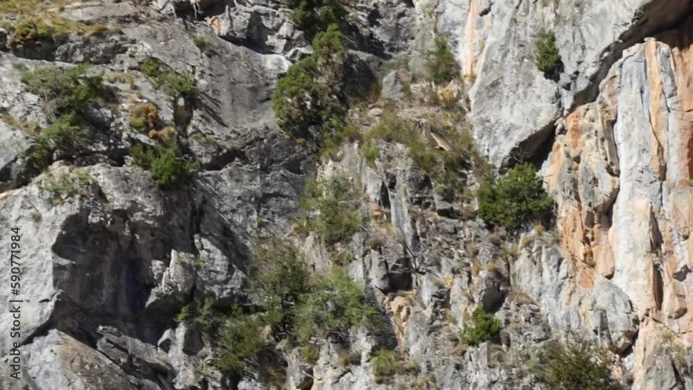 Eurasian griffon vulture flying over a rocky mountain gorge. Eurasian griffon vulture flying over a rocky mountain gorge.