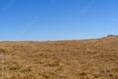 Vast meadow under a clear blue sky
