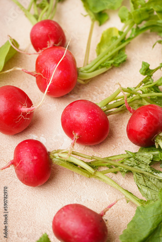 Ripe red radish with green leaves on a beige background, close-up. Fresh red radish. Vertically.