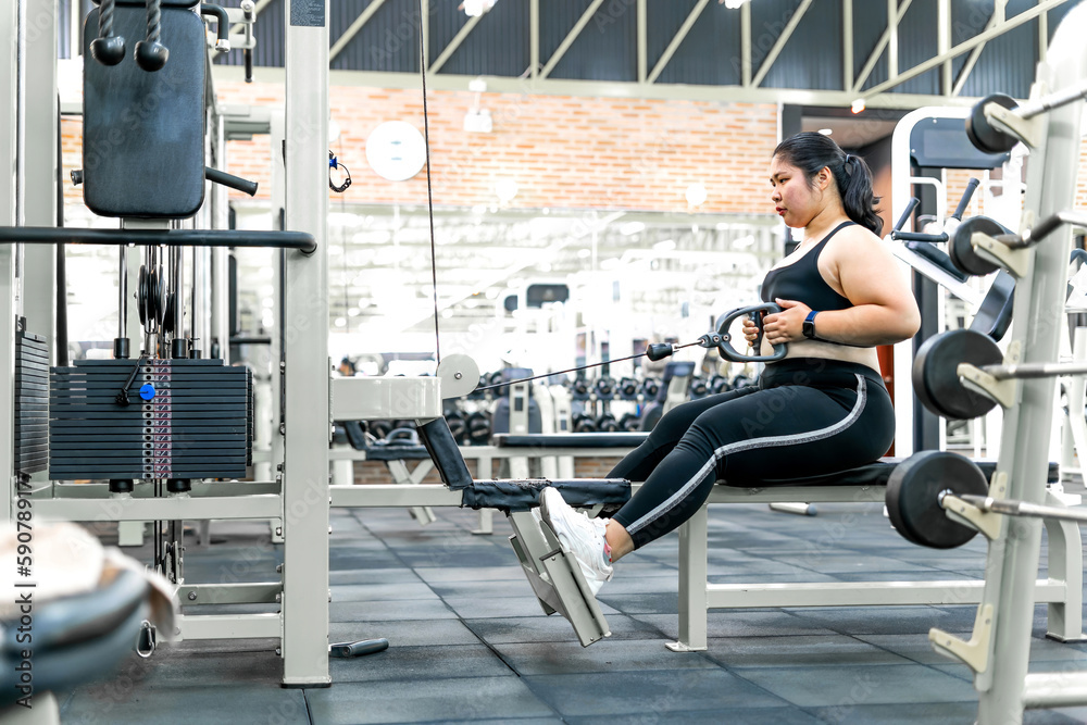chubby motivated woman pulling workout machine. female gym member holding in heavy weight fighting to build strong muscle. determined person aim for changing life practice pulling up workout station S...