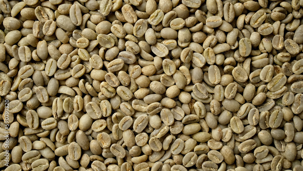 Raw coffee beans close up. Green unroasted coffee beans Raw coffee beans close up. Green unroasted coffee beans
