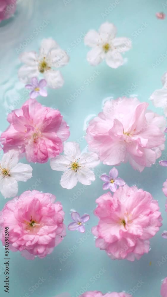 Pink and white cherry blossoms, lilac flowers, and tulip petals floating in the water with a soft pastel blue background Pink and white cherry blossoms, lilac flowers, and tulip petals floating in the water with a soft pastel blue background