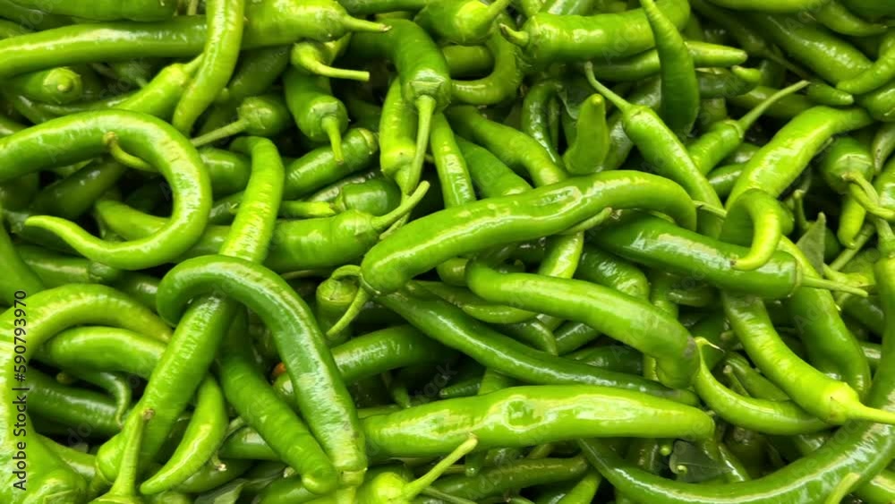 Sweet pepper at the grocery counter. Pile of fresh green peppers Sweet pepper at the grocery counter. Pile of fresh green peppers