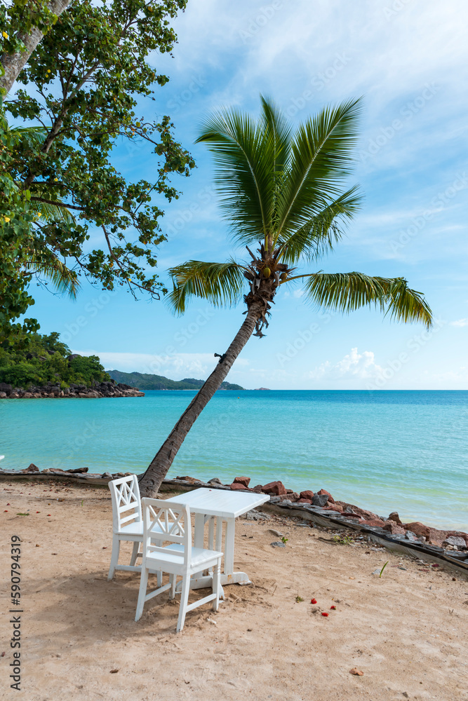 Seychelles beaches offer a range of benefits and attractions that make them a desirable destination for many travelers. beautiful palm trees, beach and sea