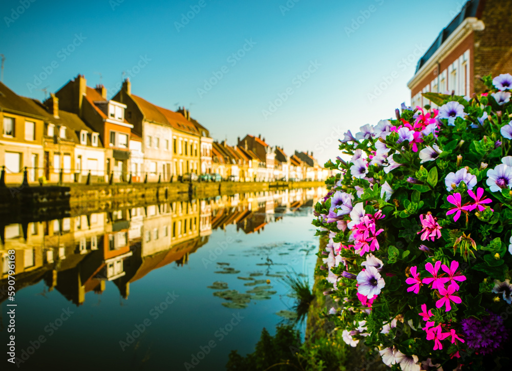 Calm L'aa river canal water with blooming flowers bouquet and line of modern traditional french architecture houses in saint-omer town