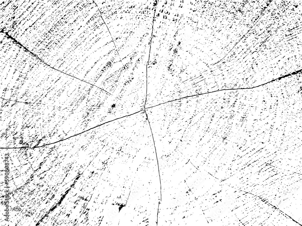 Vector grunge texture of aspen tree cross-section with cracks on