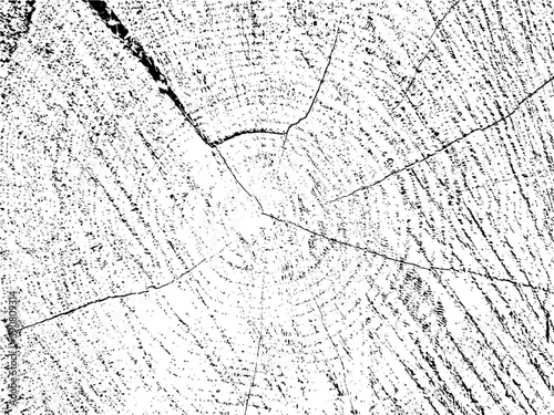 Raw and rustic vector texture of a plum tree cross-section with natural cracks. Monochrome organic background of an old sawn log. Ideal for posters, flyers, and social media graphics